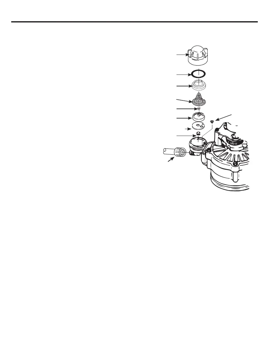 Page #64 background image