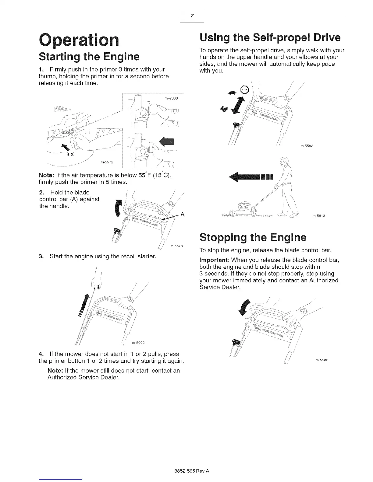 Page #7 background image