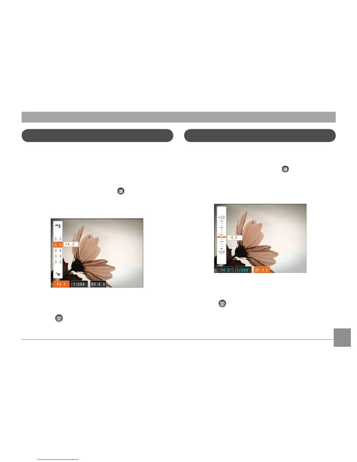 Page #44 background image