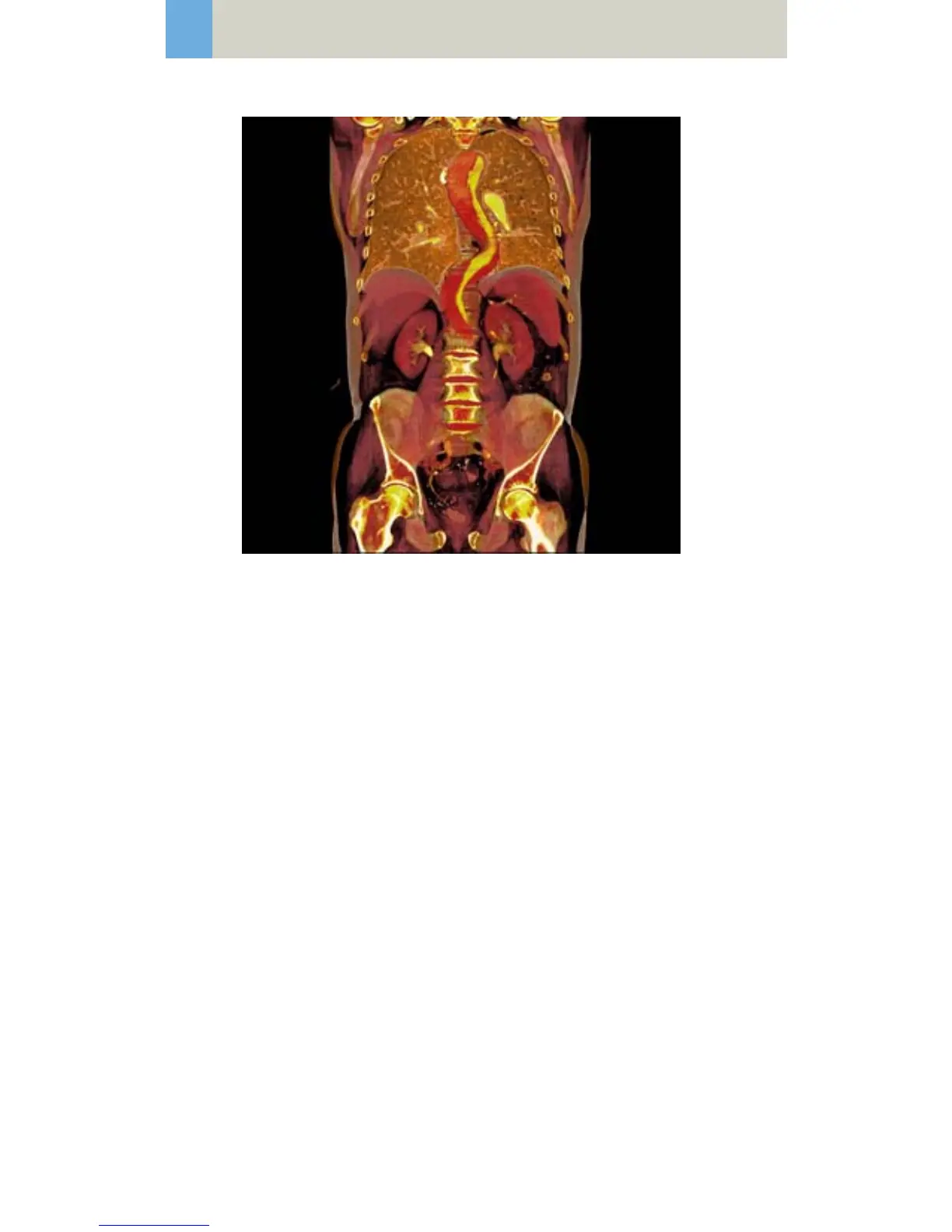 Page #262 background image
