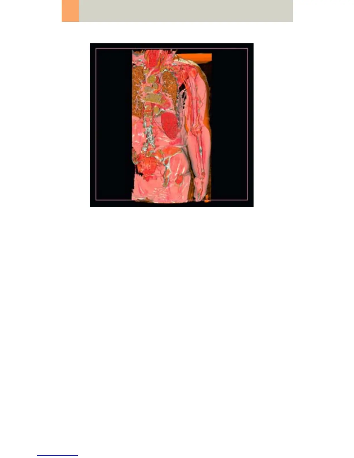 Page #332 background image