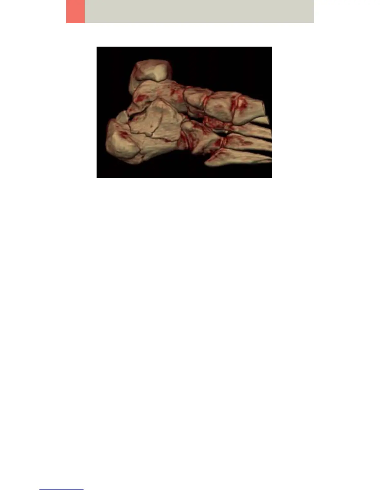 Page #346 background image