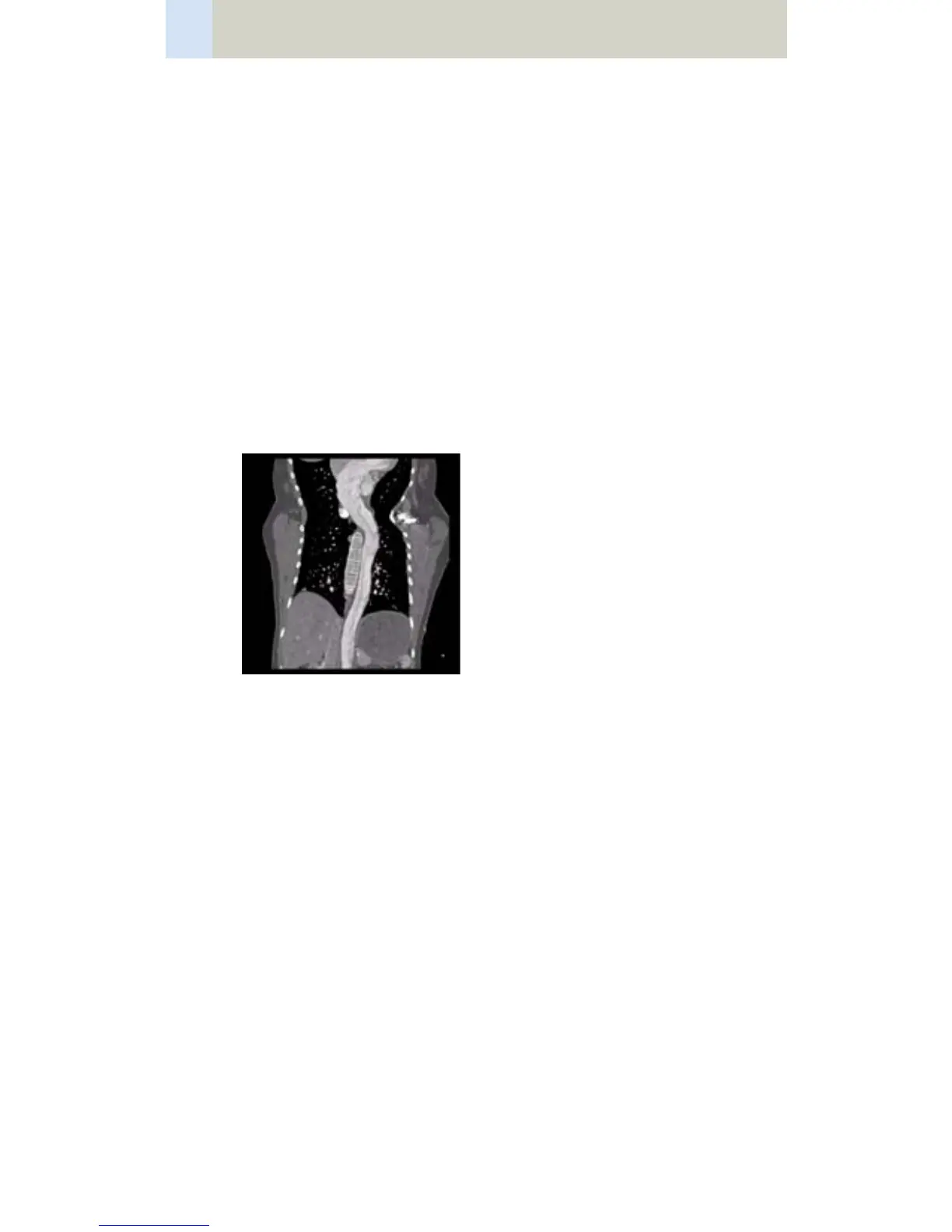 Page #388 background image