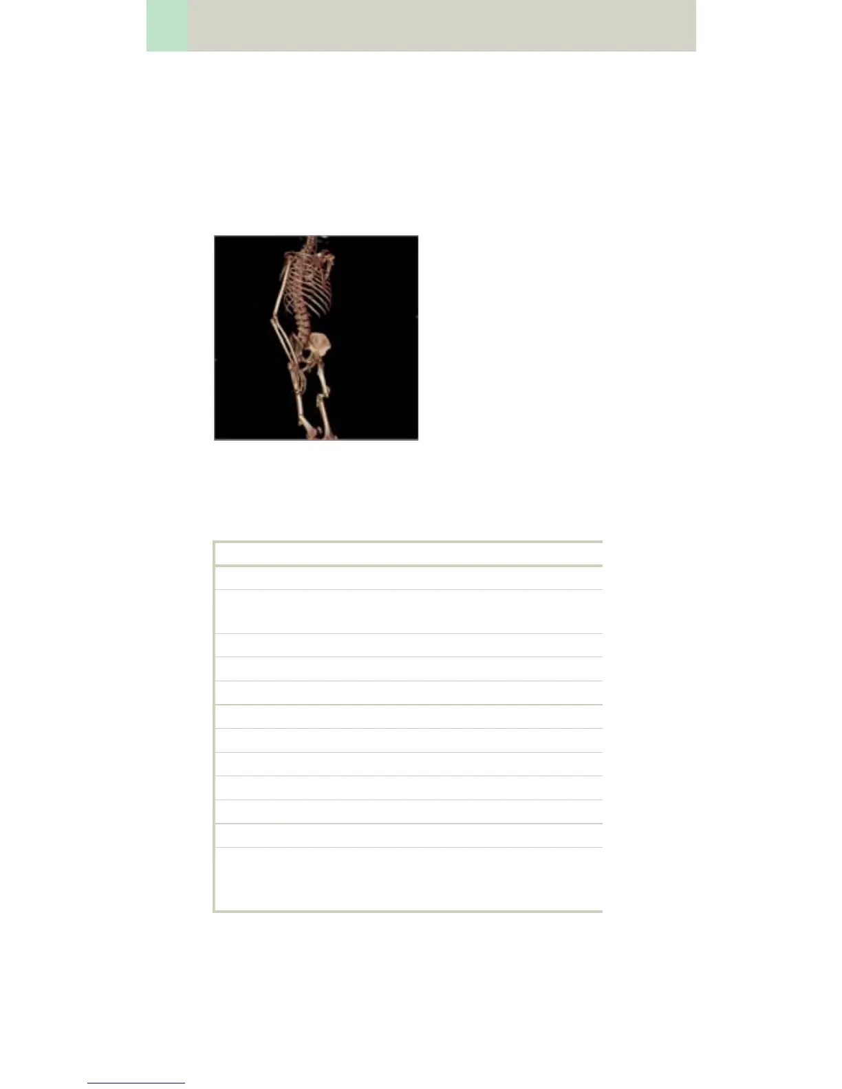 Page #426 background image