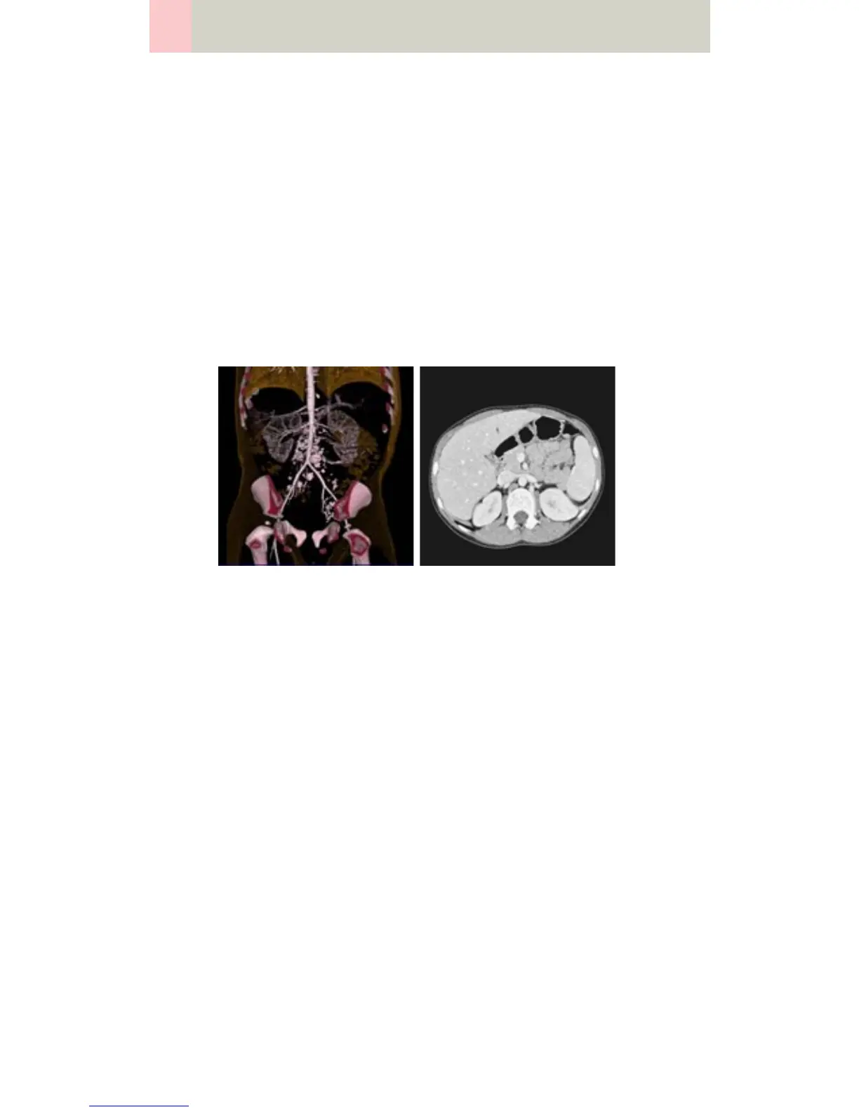Page #582 background image