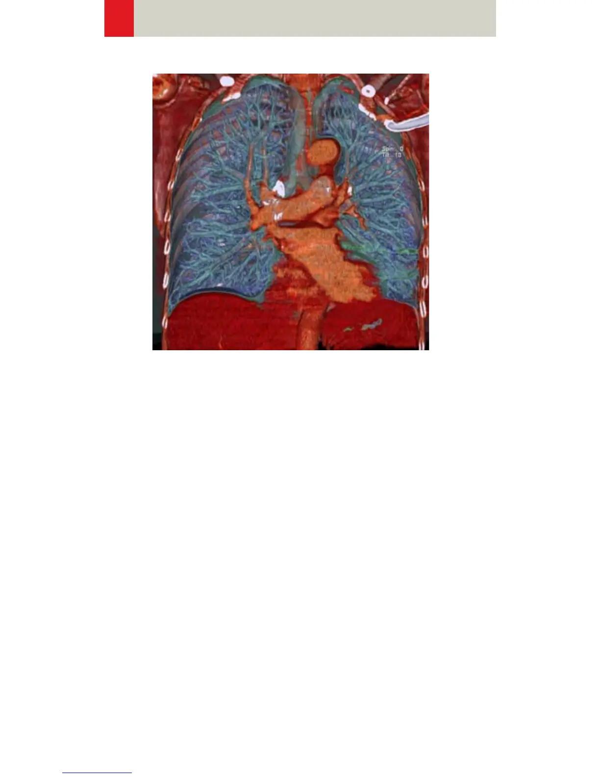 Page #226 background image
