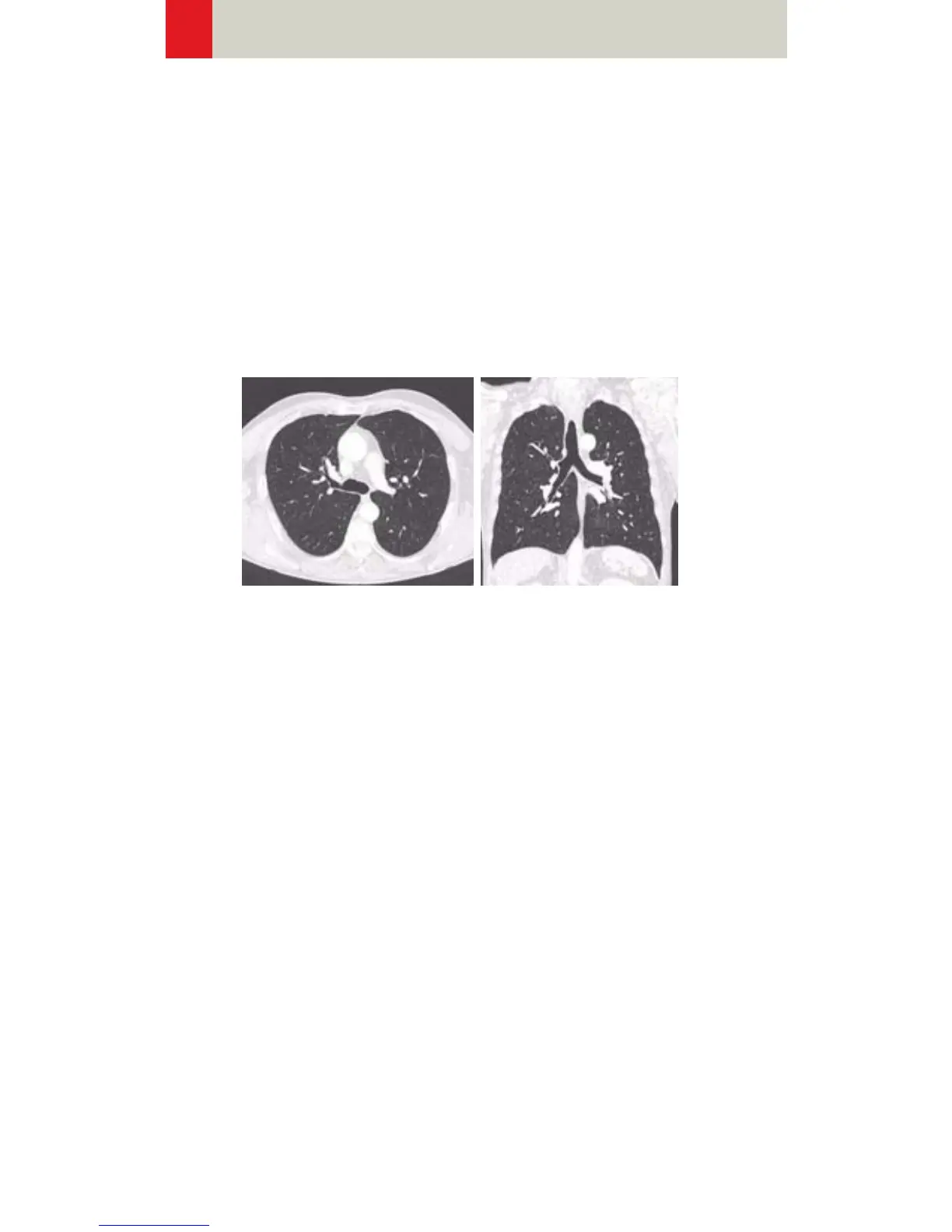 Page #244 background image