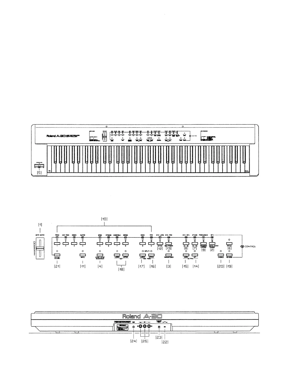 Page #3 background image