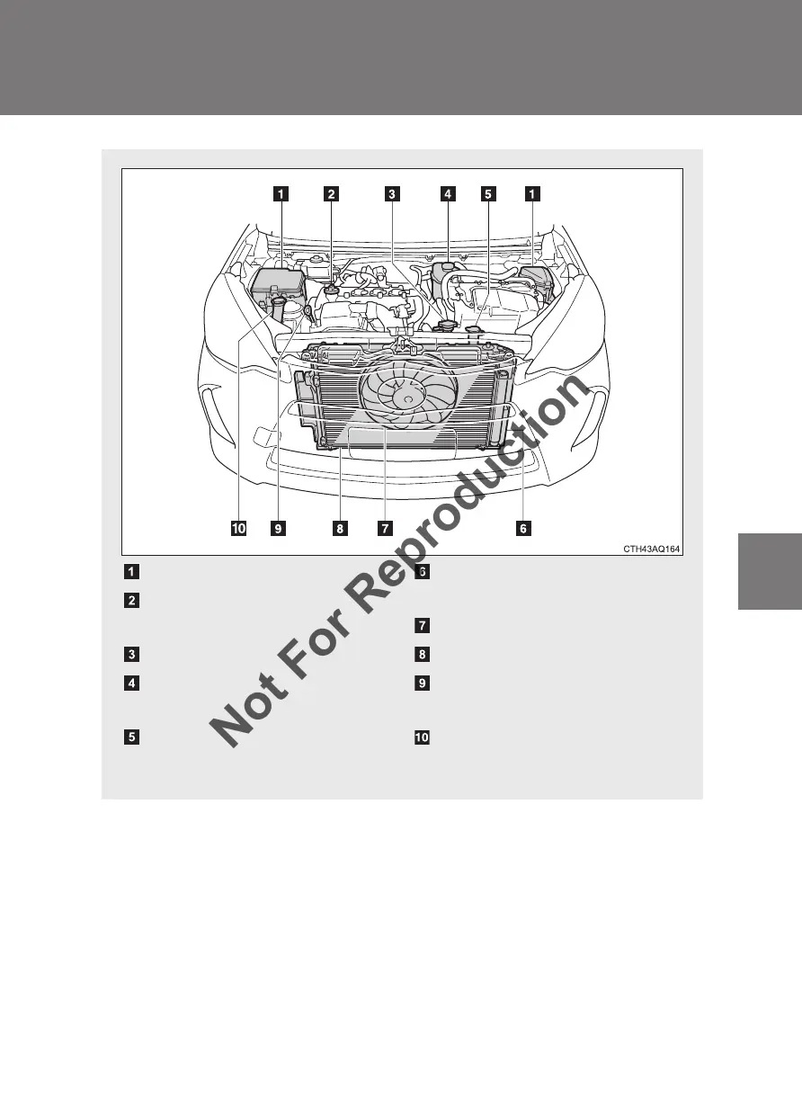 Page #324 background image