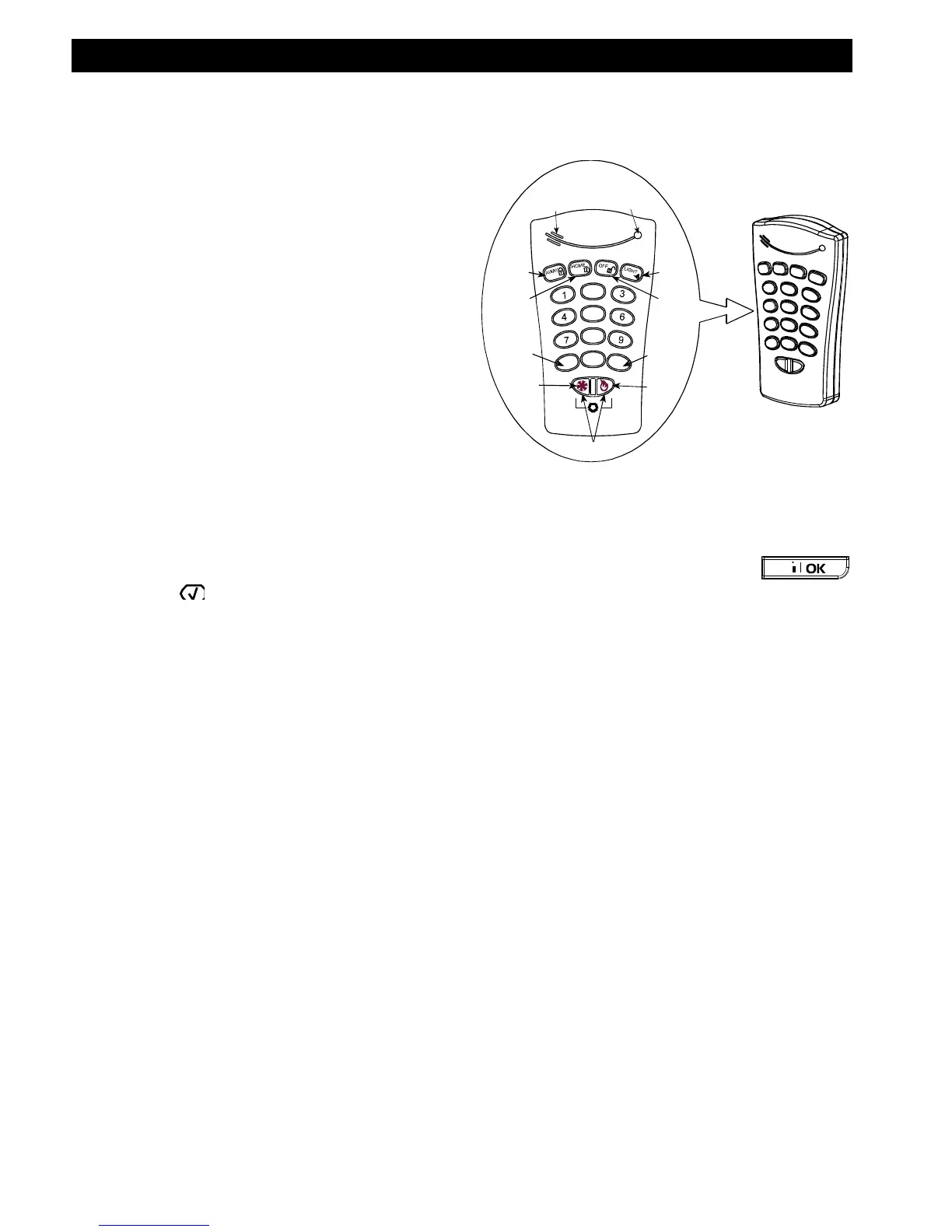 Page #40 background image