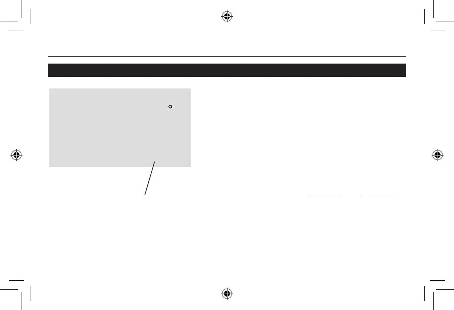 Page #43 background image