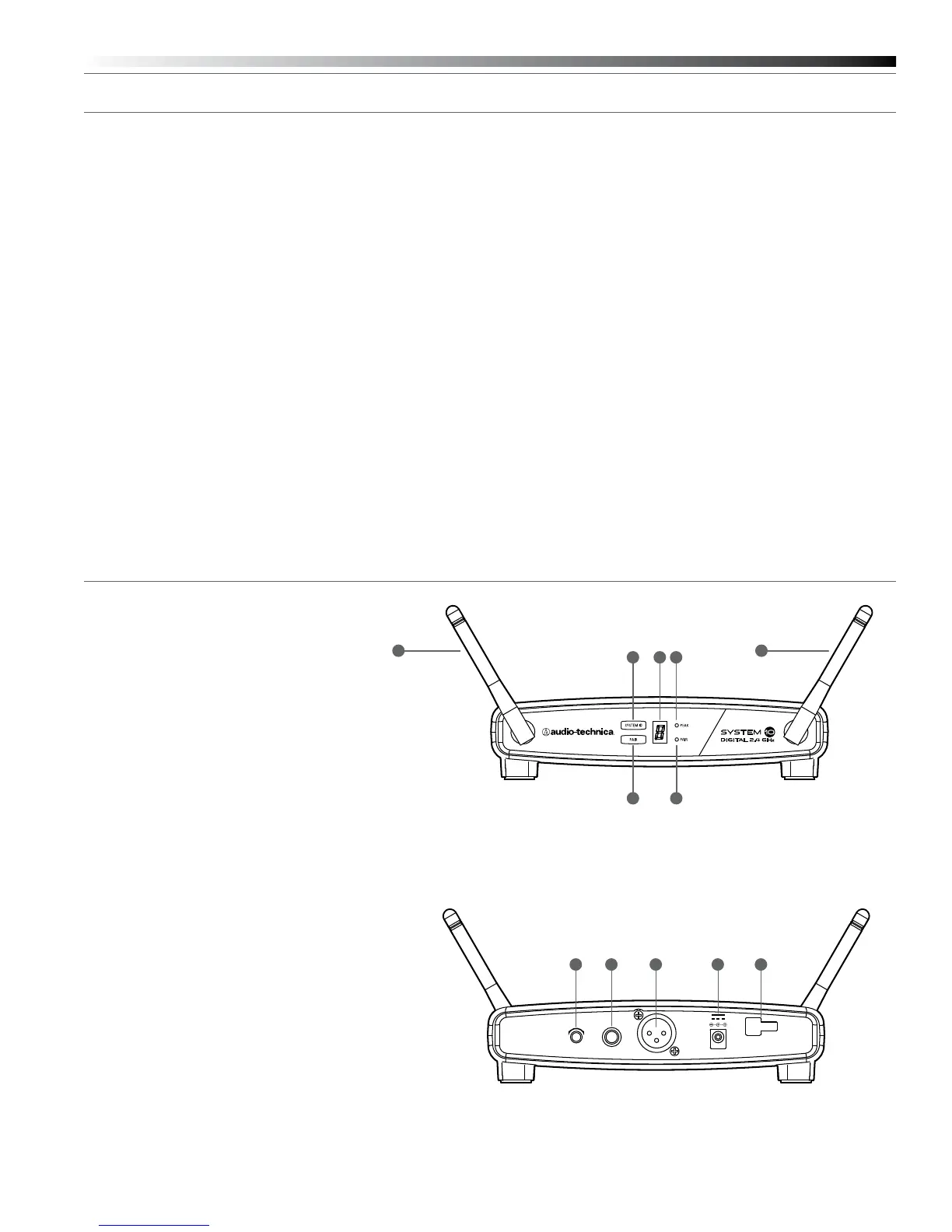 Page #3 background image