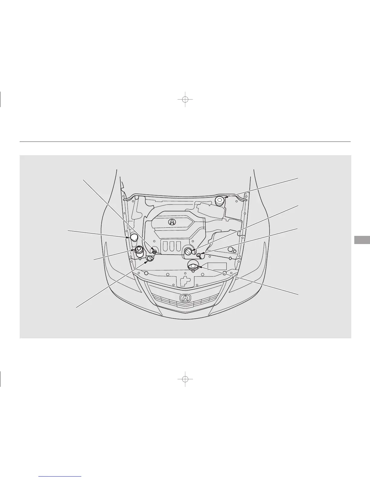 Page #461 background image