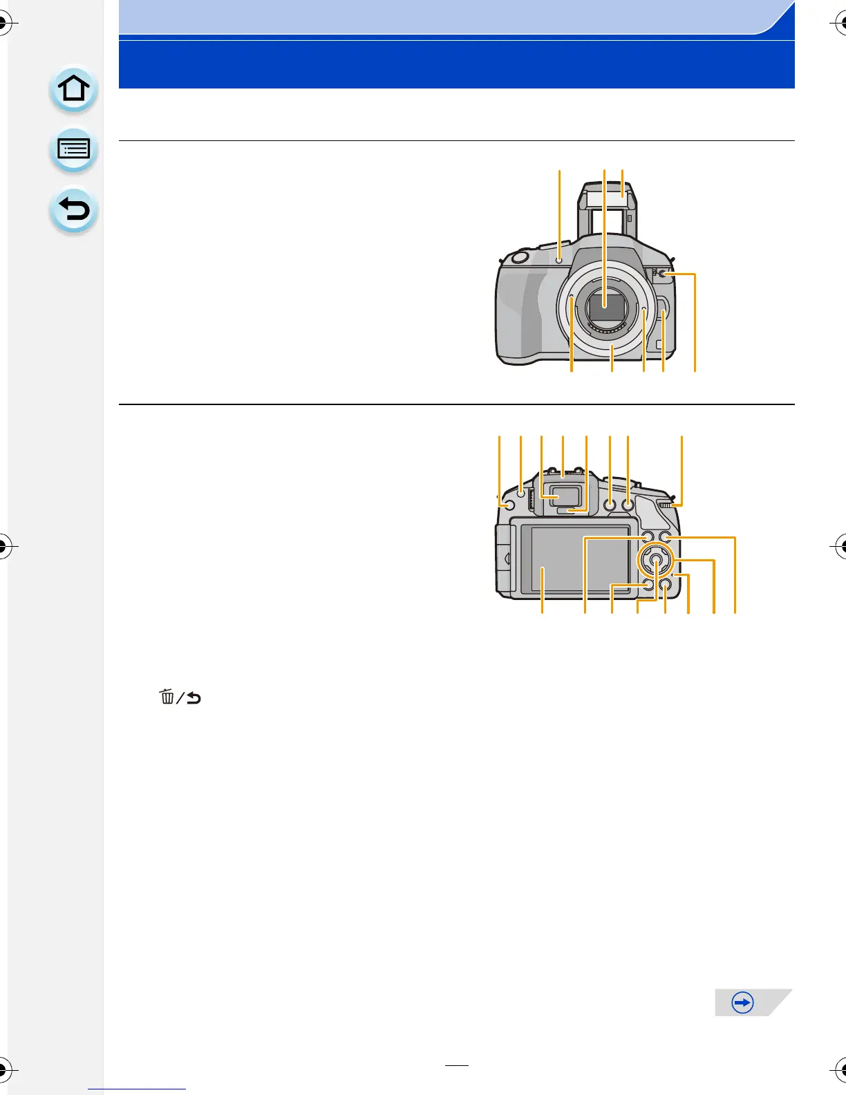 Page #13 background image