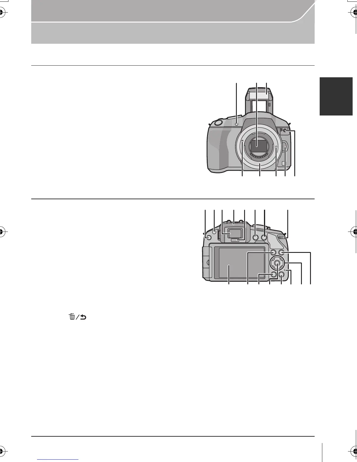 Page #11 background image