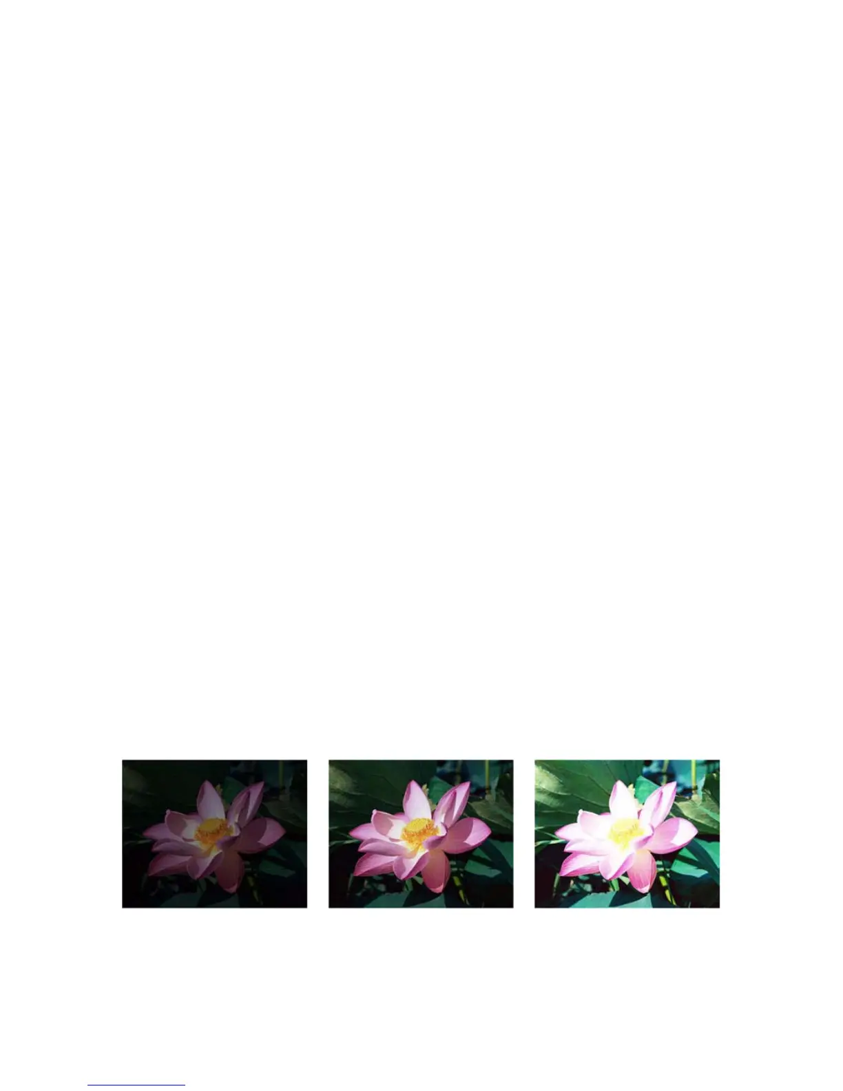 Page #150 background image