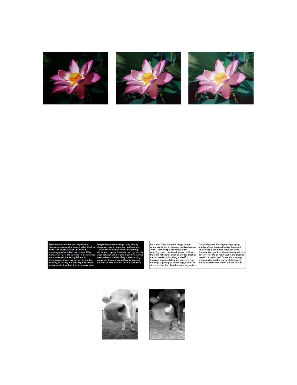 Page #153 background image