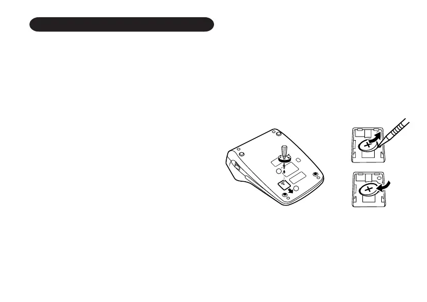 Page #119 background image