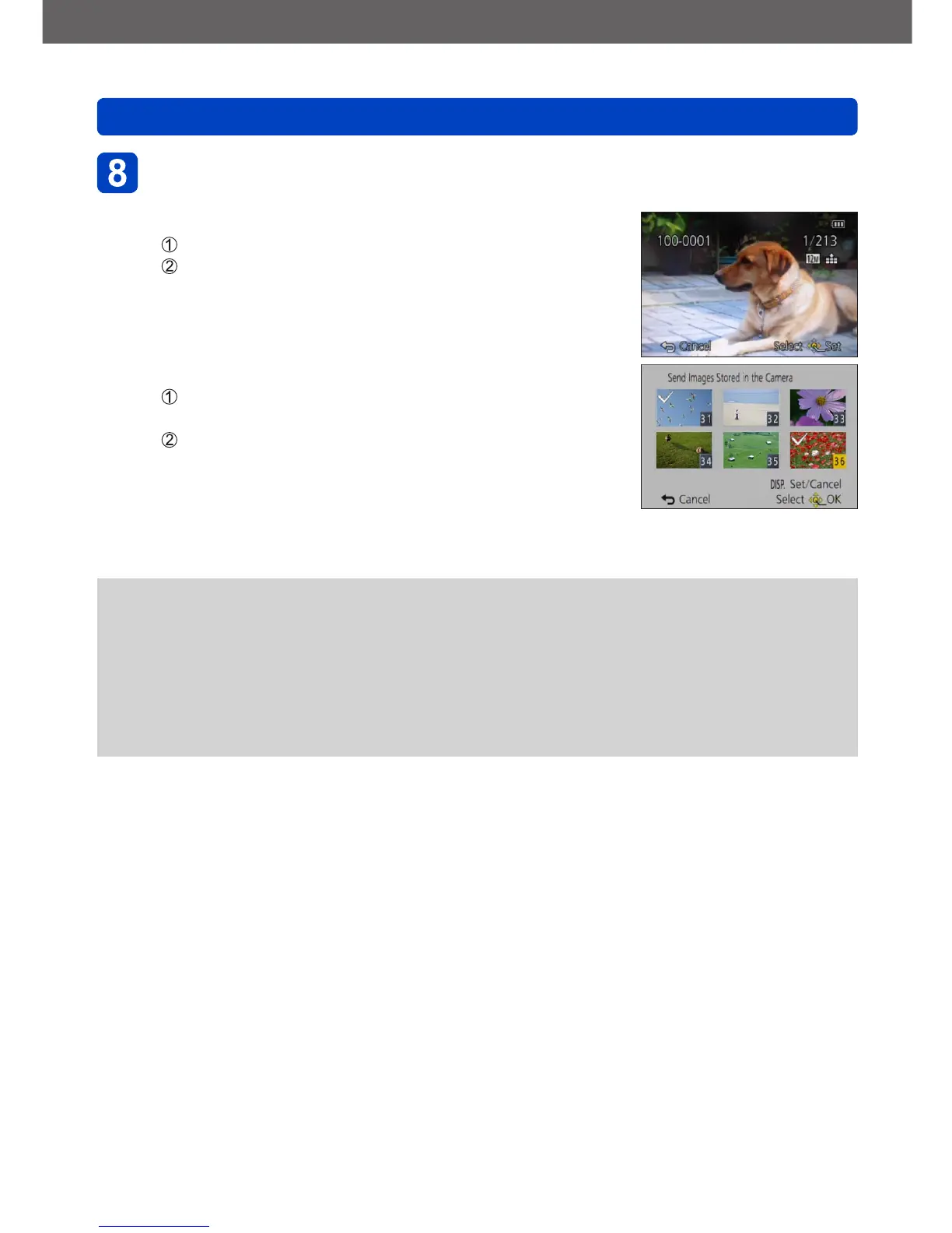 Page #203 background image
