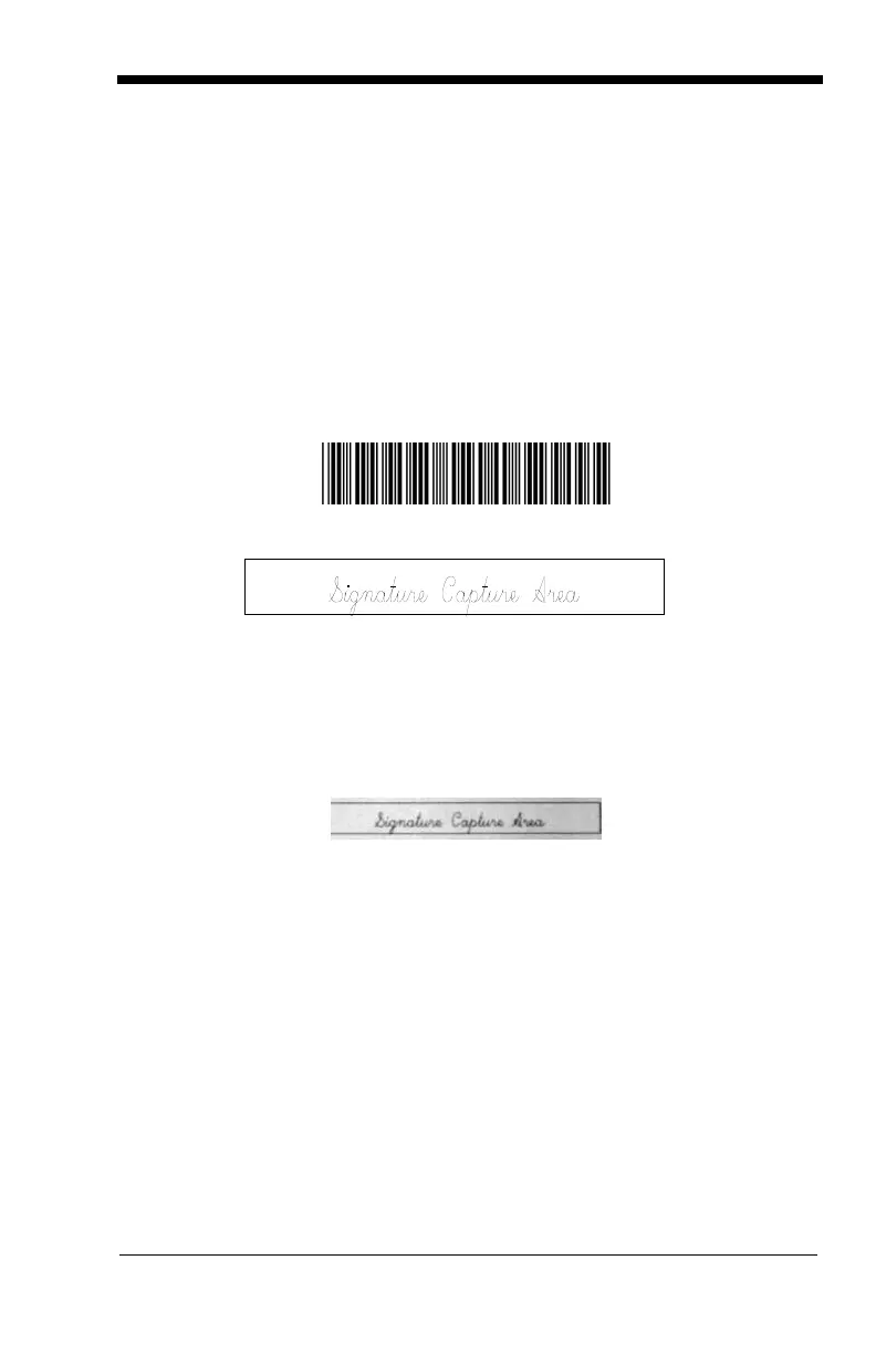 Page #207 background image