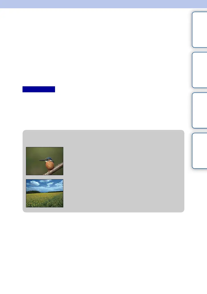 Page #88 background image