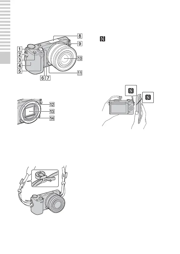 Page #10 background image