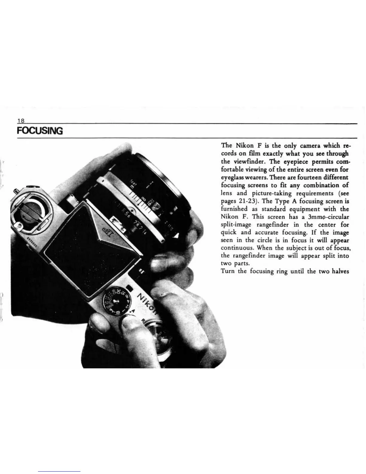Page #19 background image