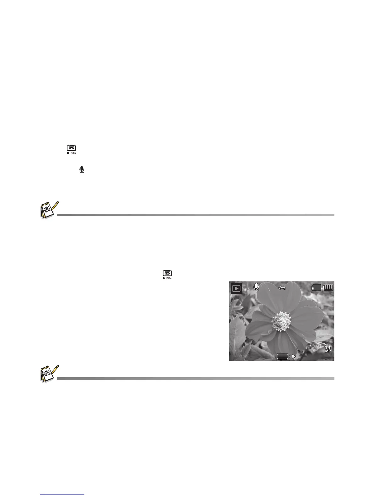 Page #31 background image