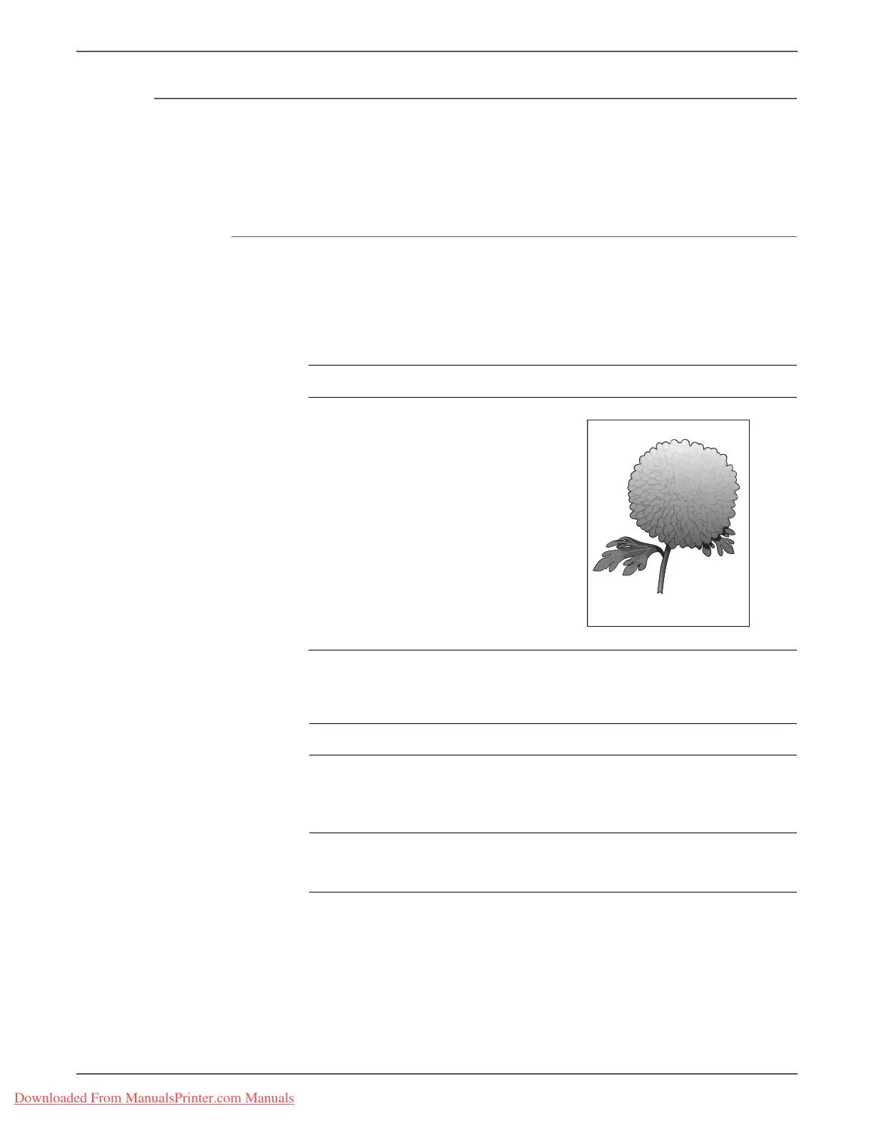 Page #119 background image