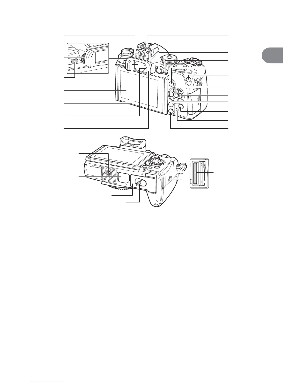 Page #43 background image