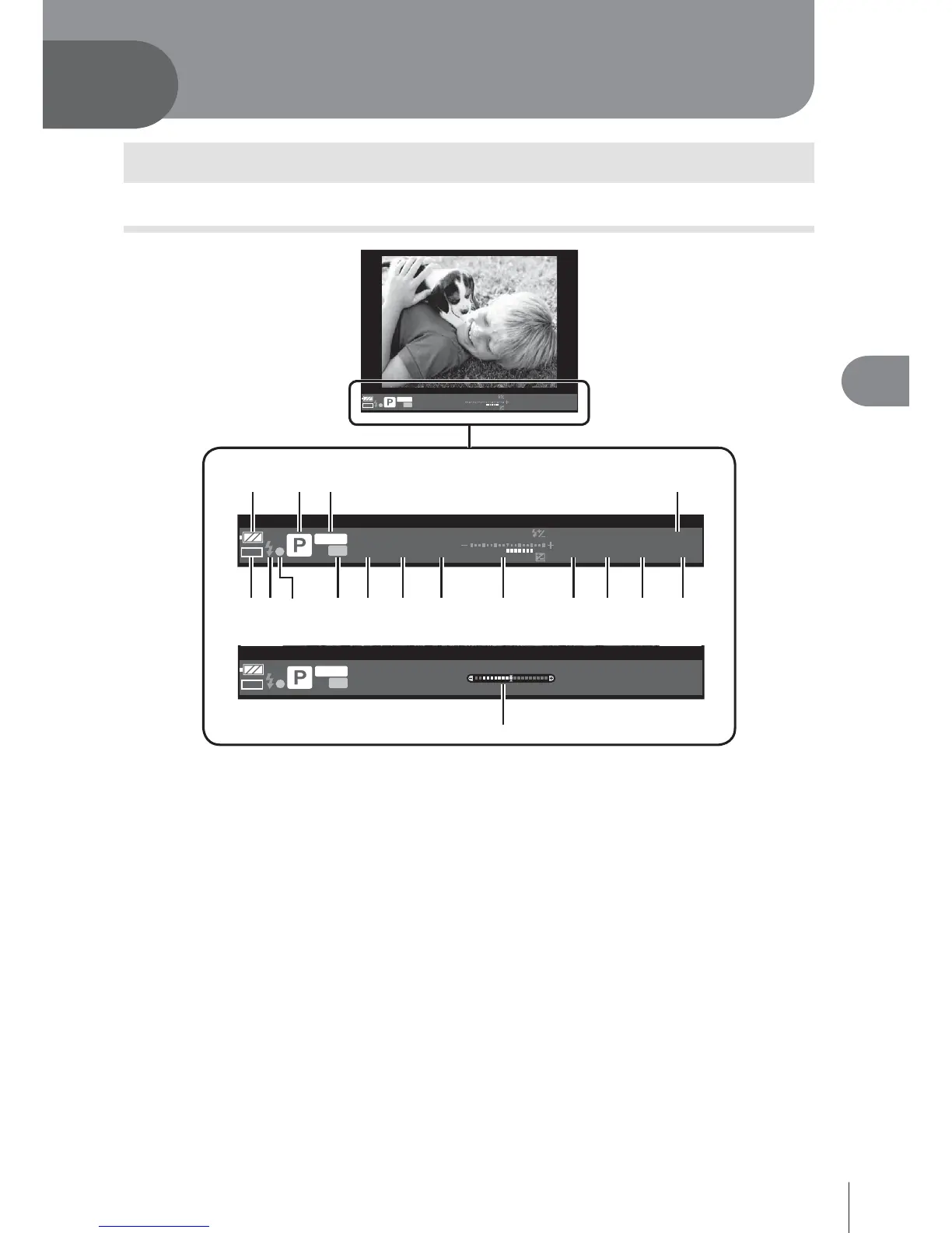 Page #67 background image
