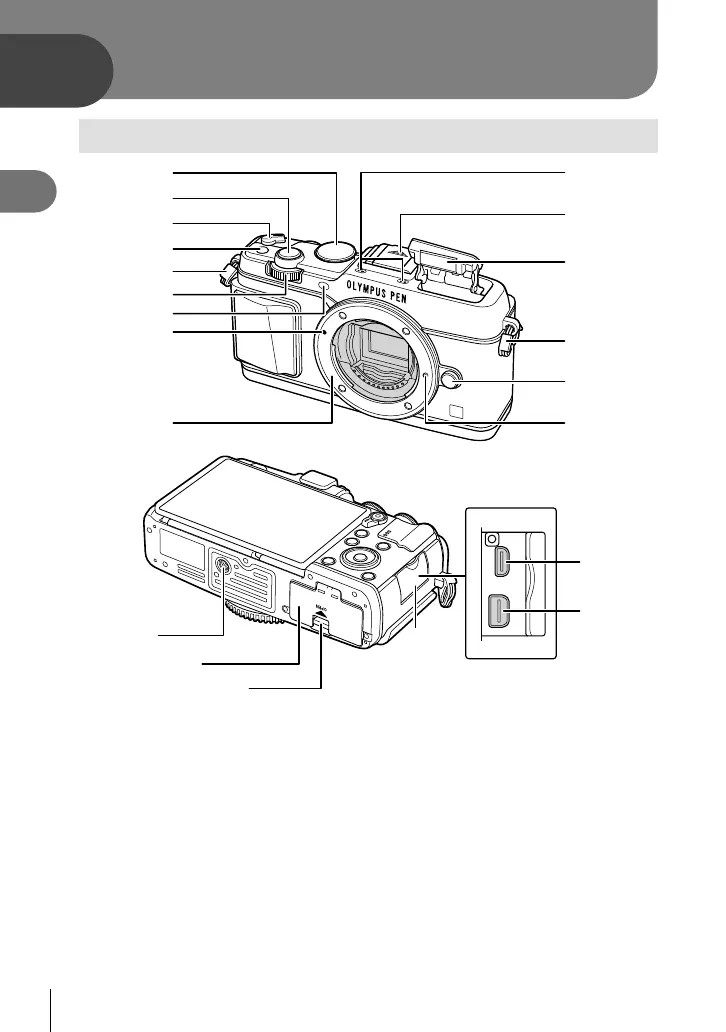 Page #8 background image
