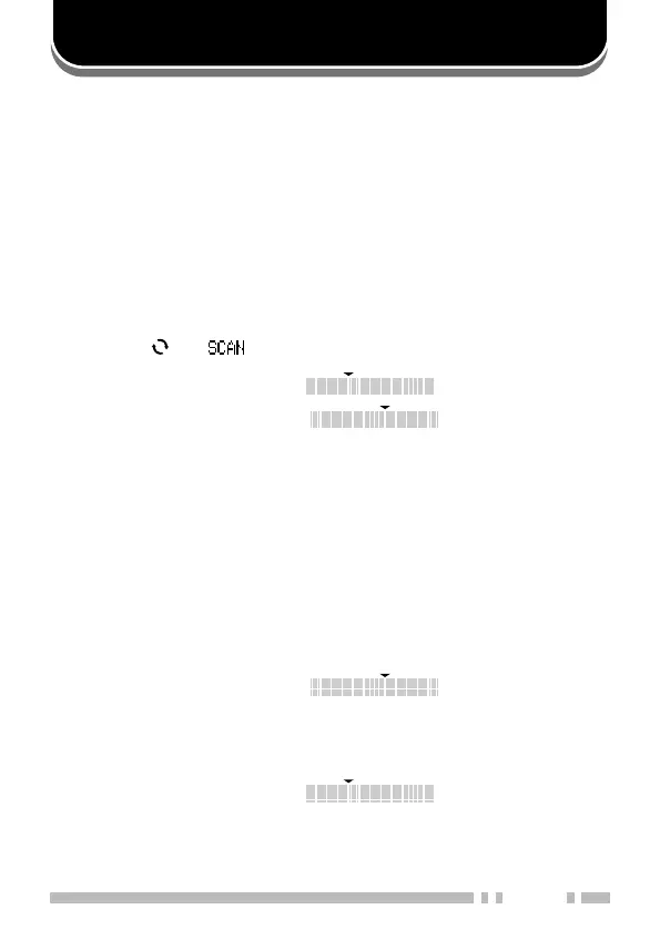 Page #227 background image