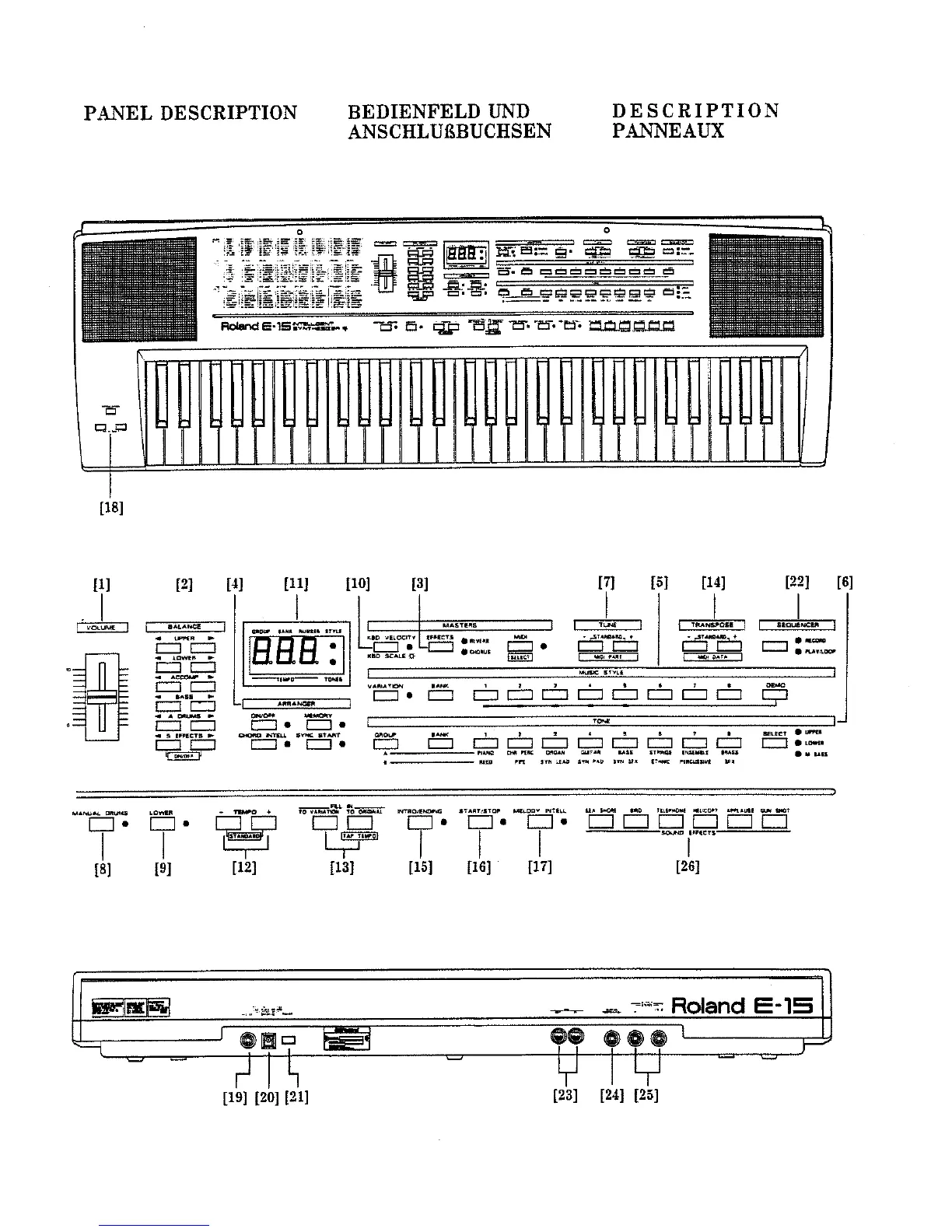 Page #3 background image