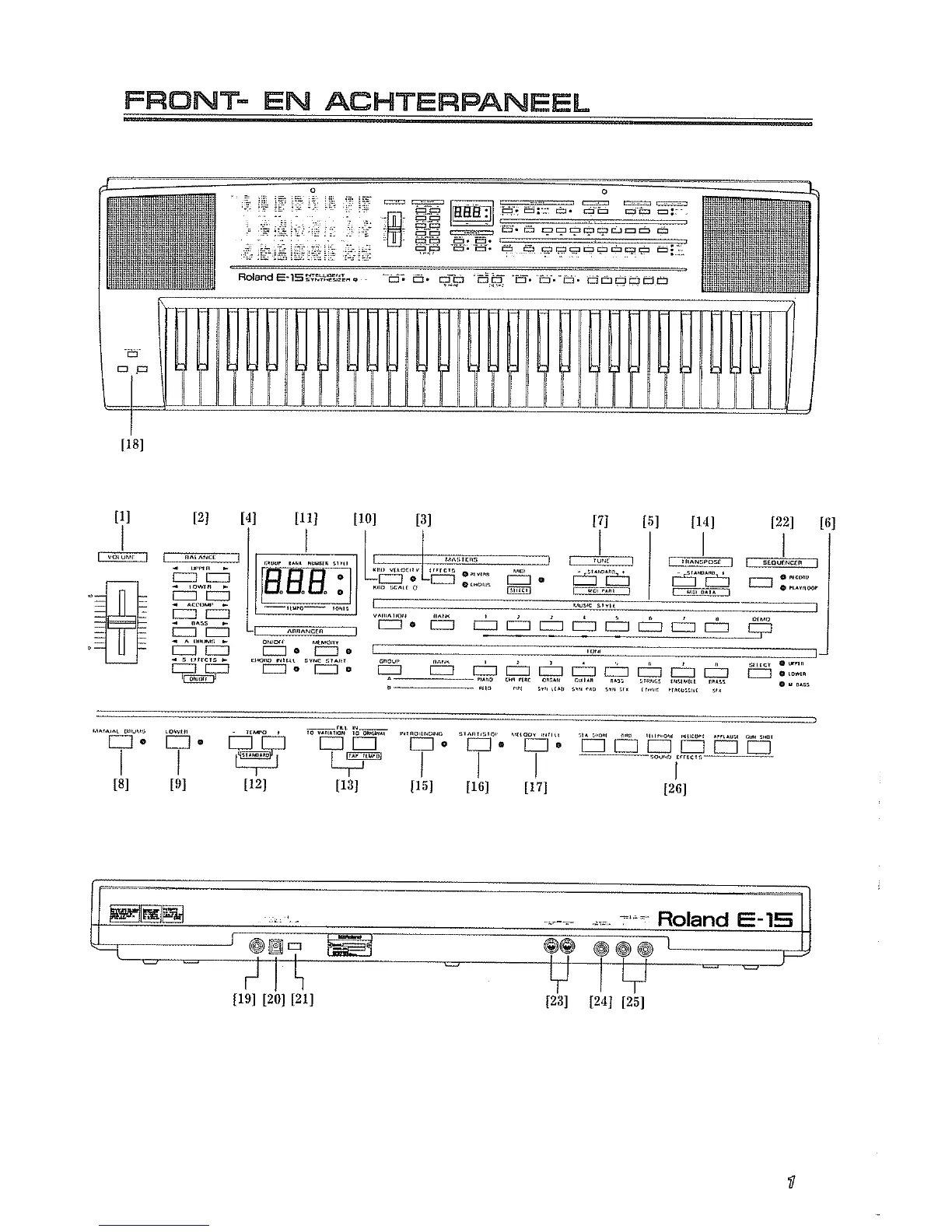 Page #3 background image