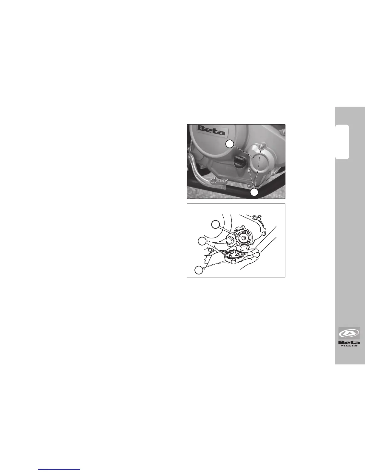 Page #225 background image