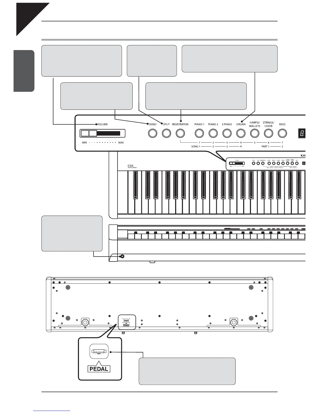 Page #10 background image