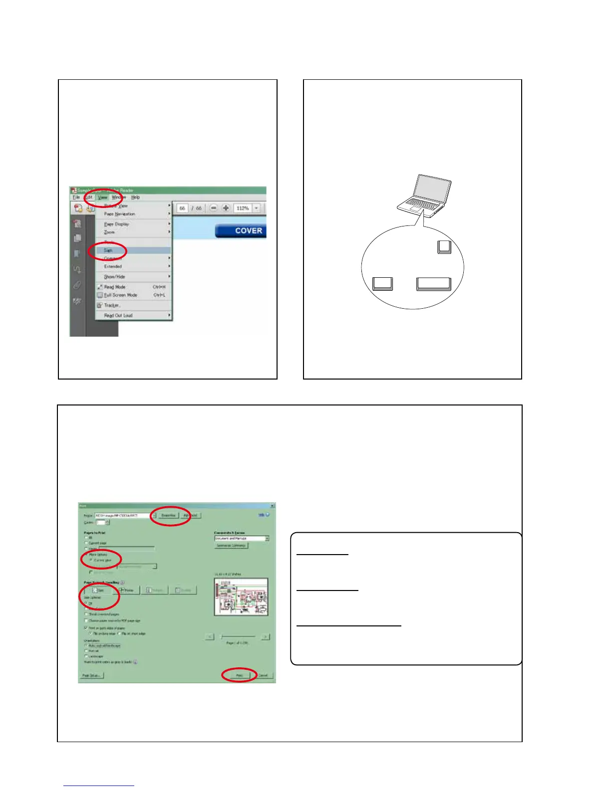 Page #4 background image