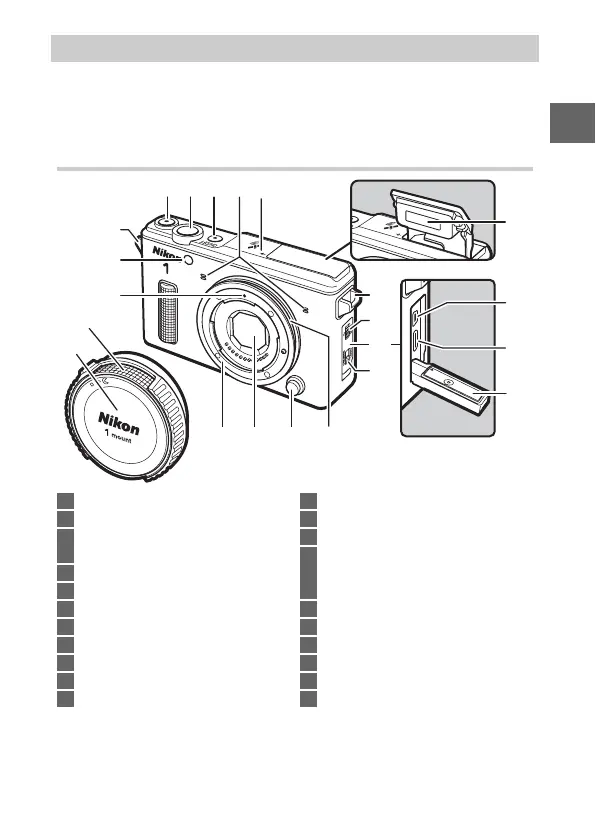 Page #23 background image