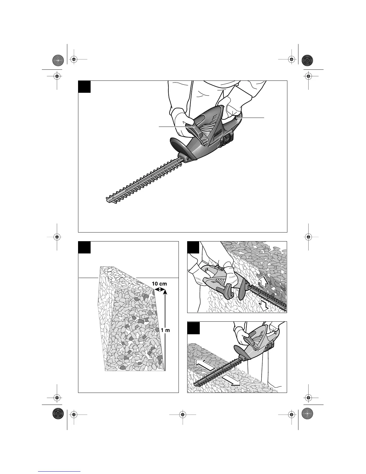 Page #4 background image