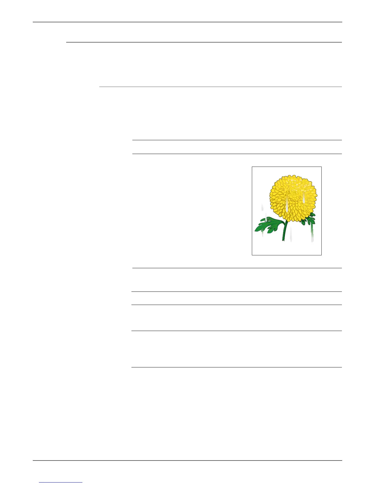 Page #333 background image