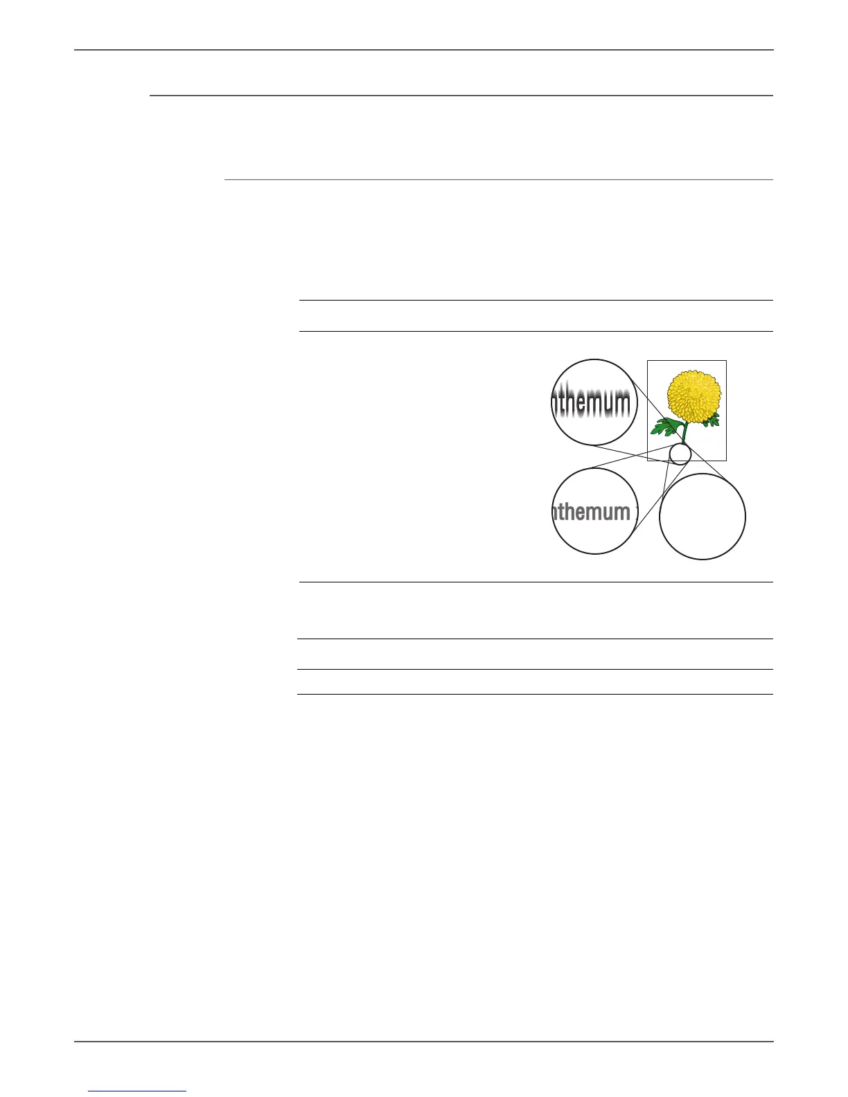 Page #339 background image