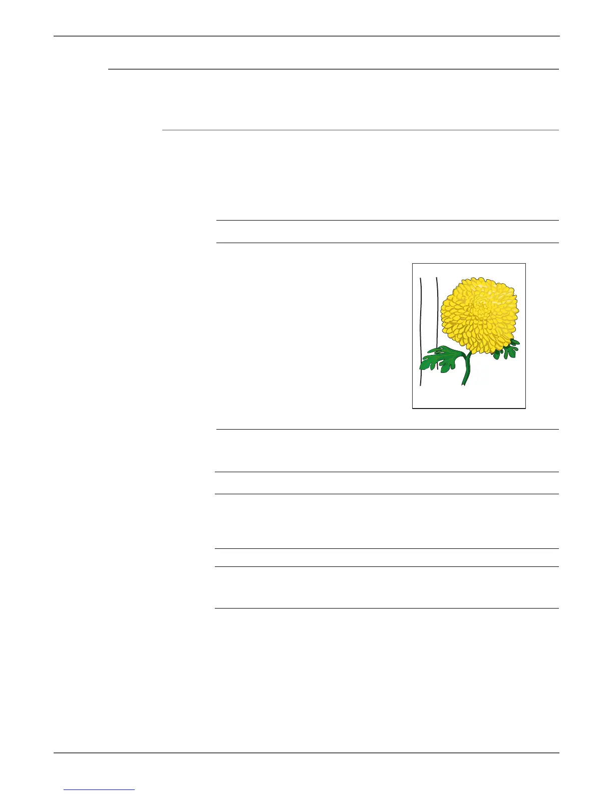 Page #352 background image