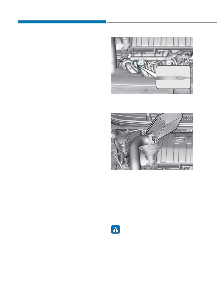 Page #342 background image