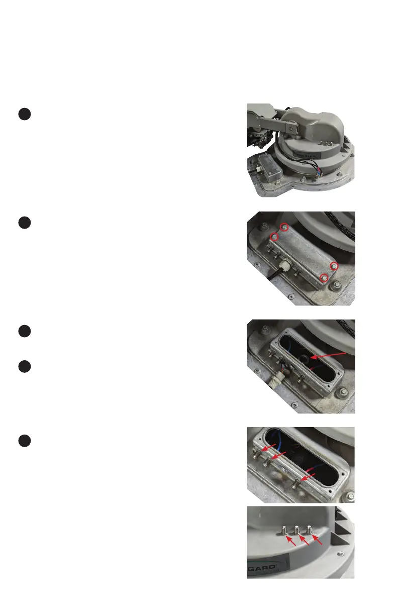 Page #2 background image