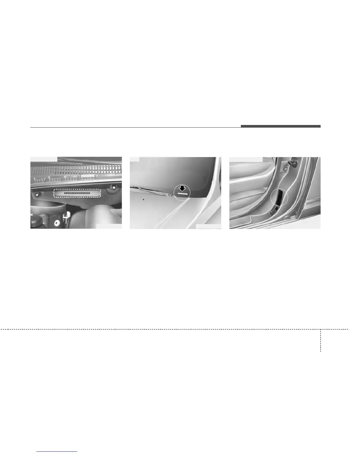 Page #295 background image