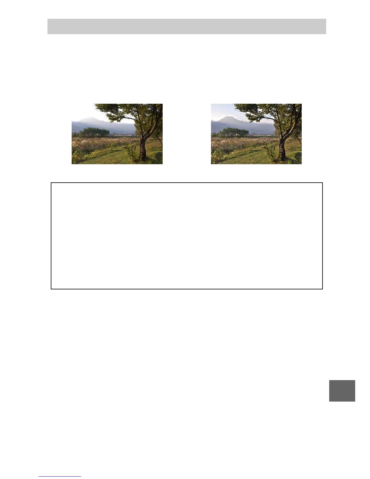 Page #255 background image