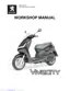 Preview: Workshop Manual