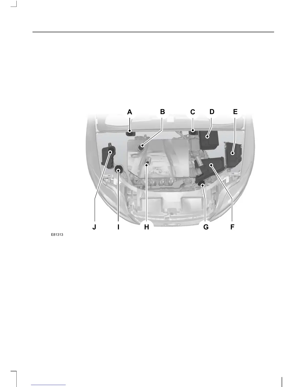Page #215 background image