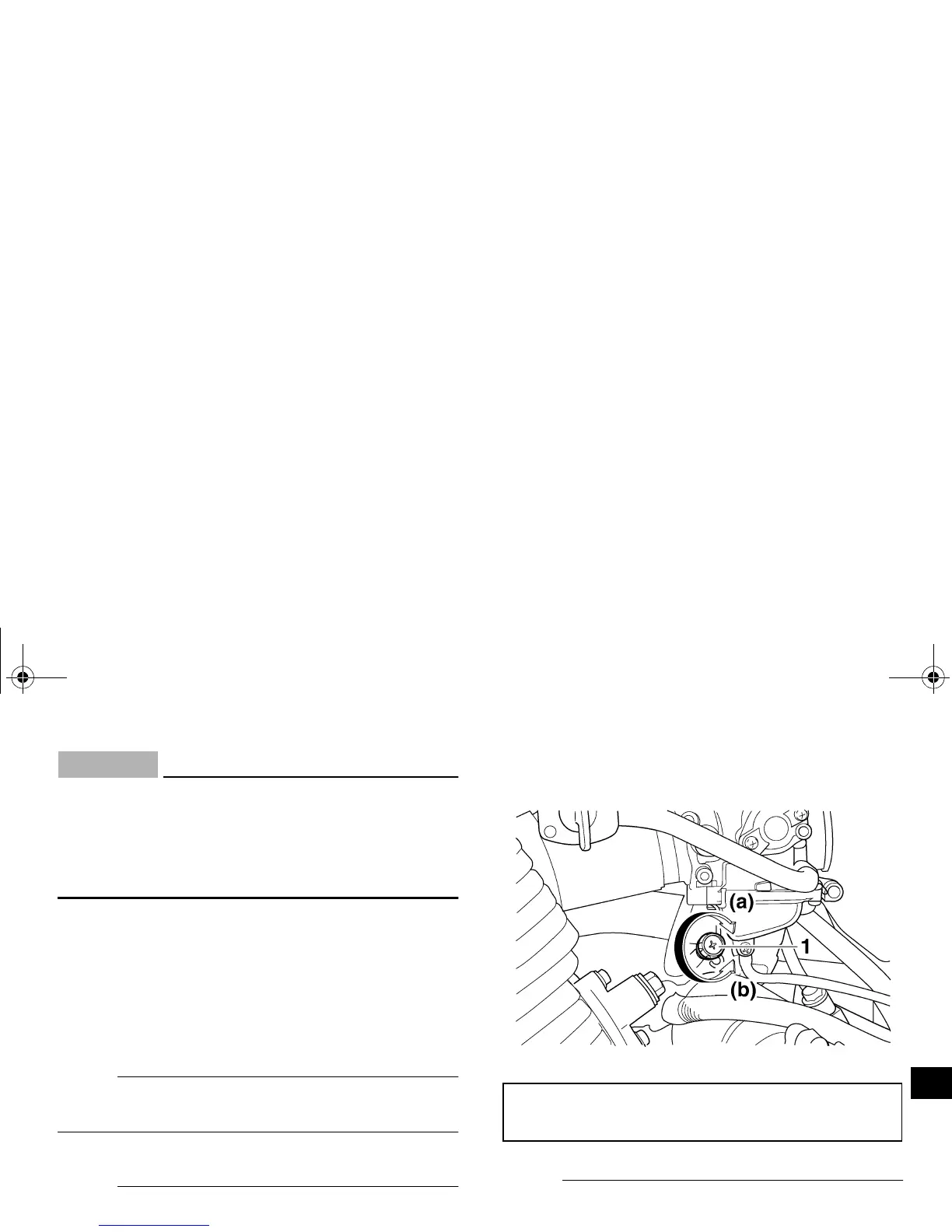 Page #117 background image